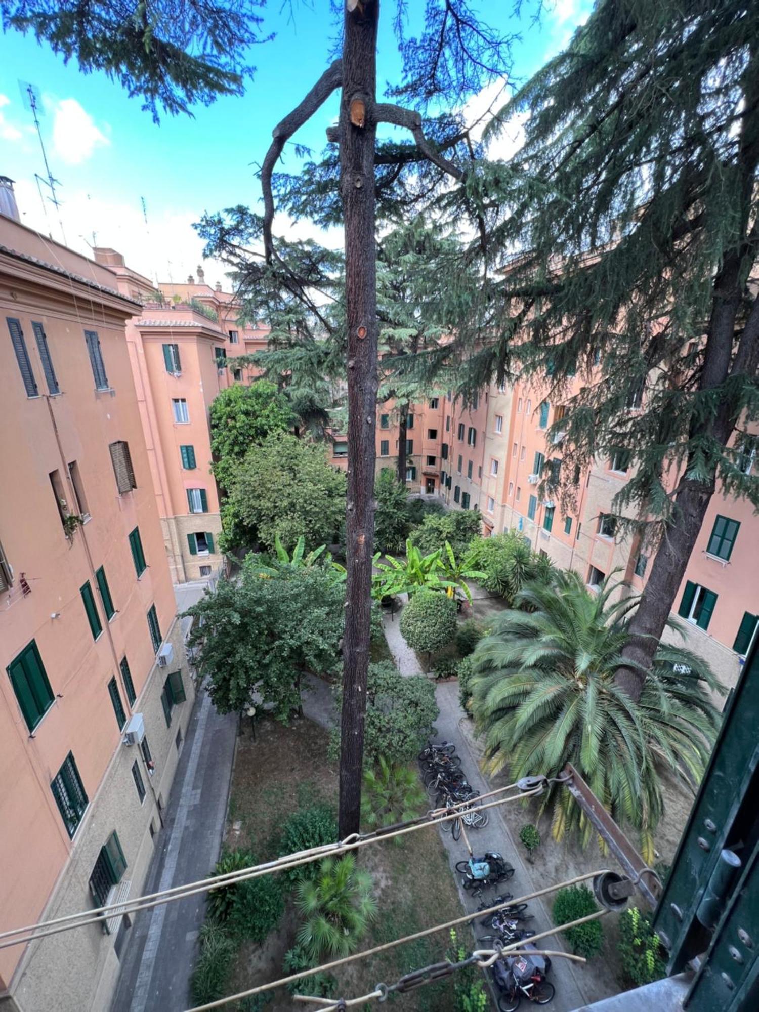 Enjoy Vatican Holiday In Rome Buitenkant foto